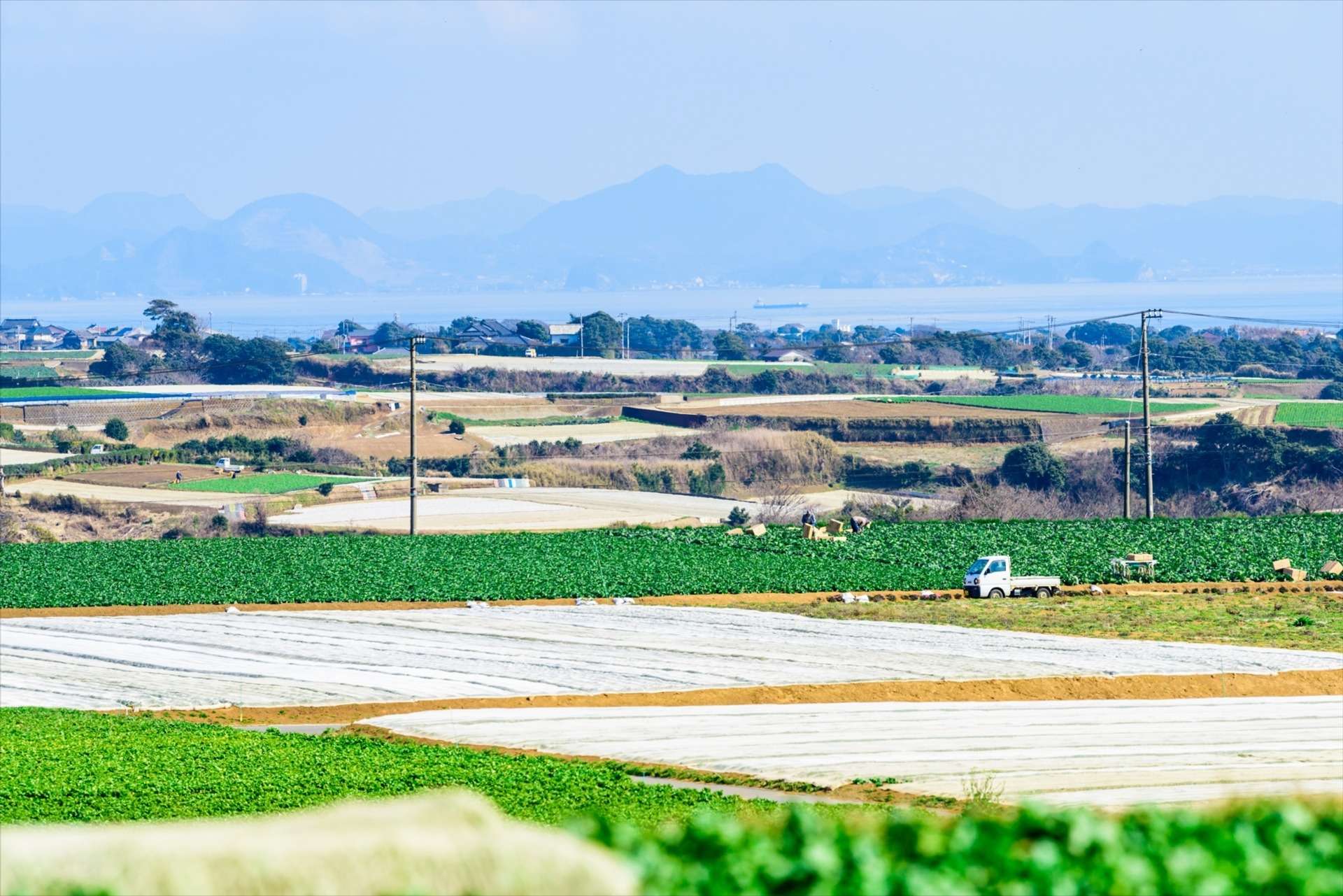 一般社団法人 トルテ