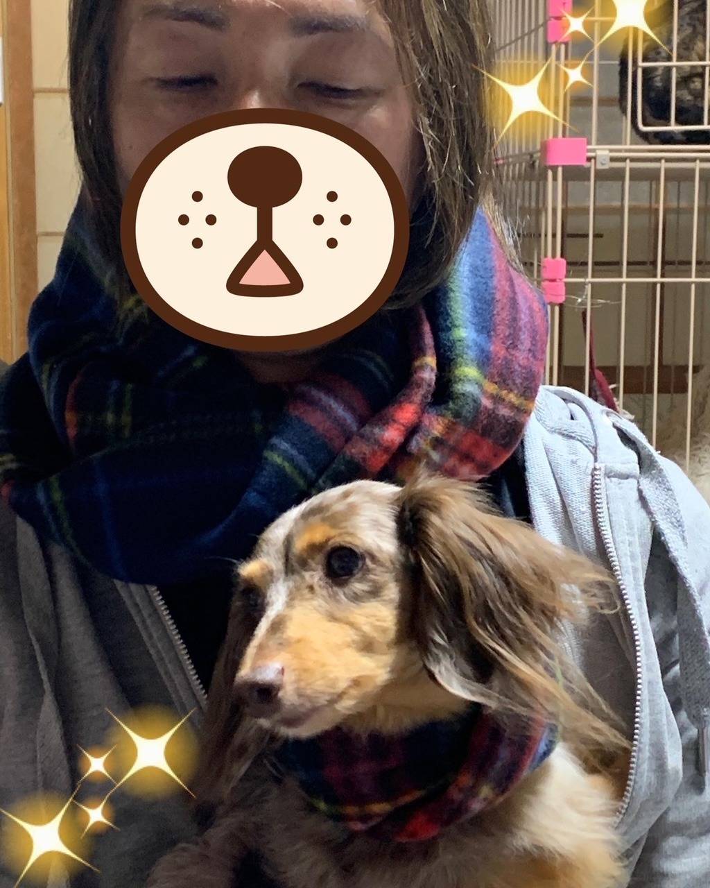 ワンちゃん用品のご紹介